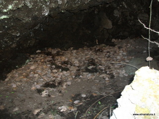 Grotta del Porcospino